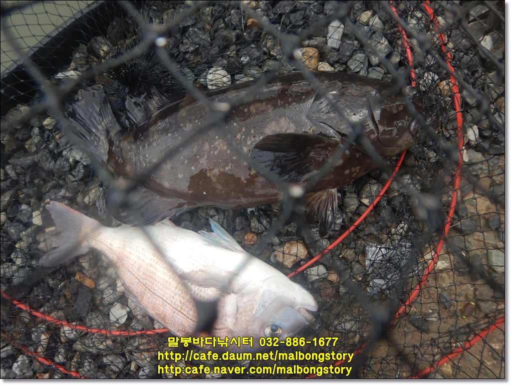 DSCN8597.JPG