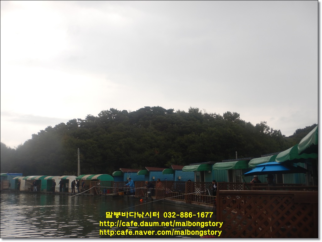 DSCN8612.JPG
