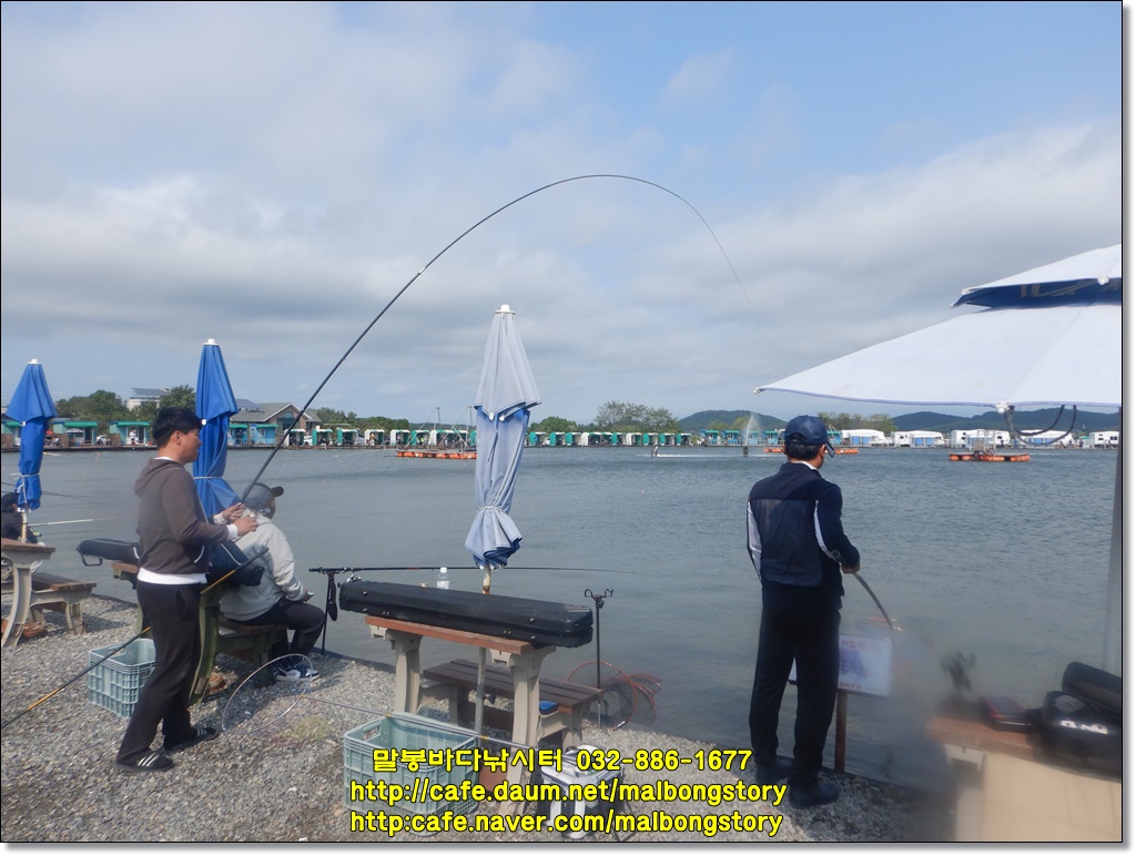DSCN8617.JPG