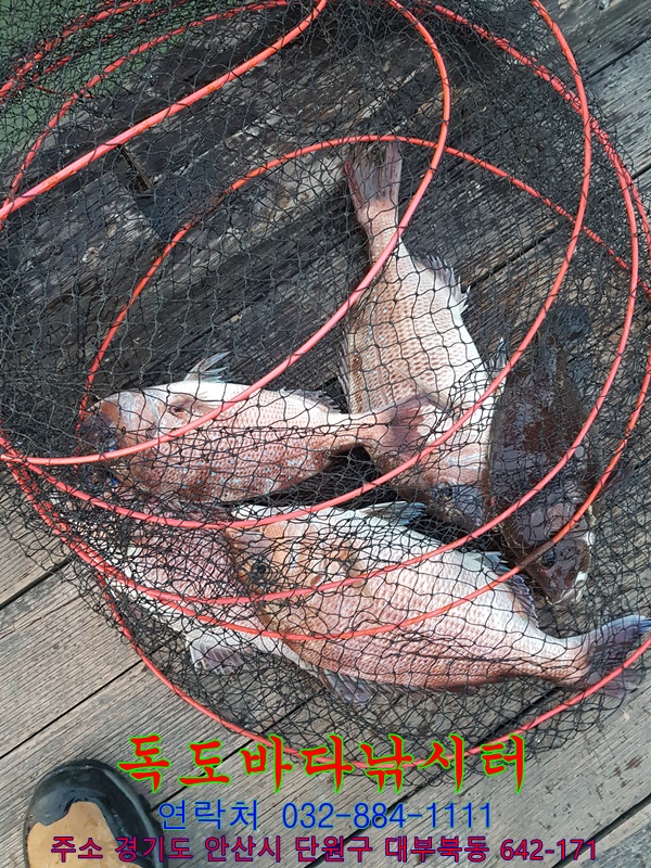 52.jpg
