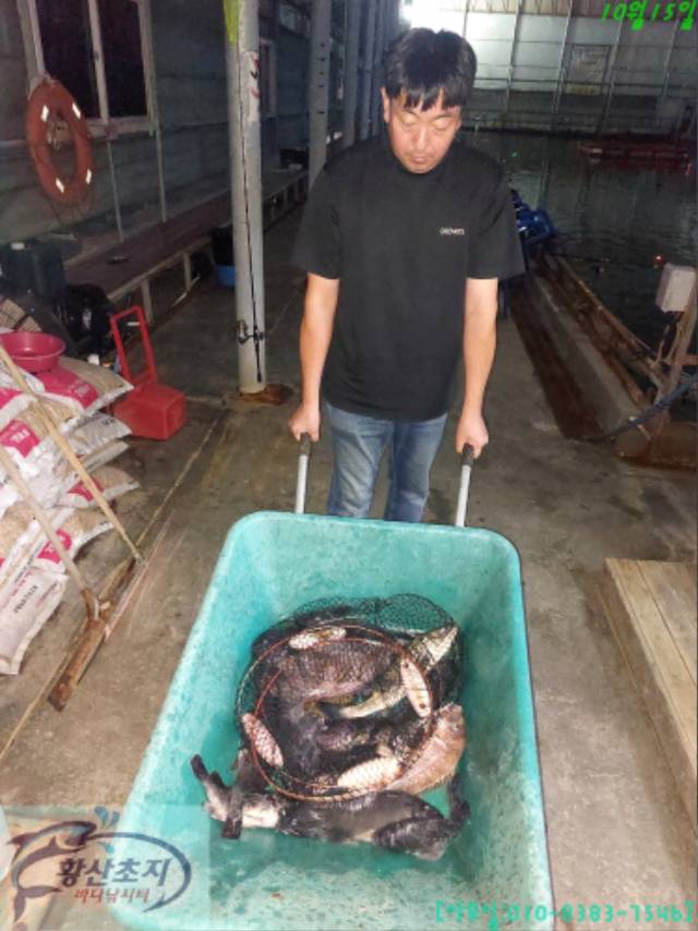 해안선낚시 바다낚시조황 > 장고항해안선우럭조황사진 : 낚시사랑  해안선낚시 바다낚시조황 > 장고항해안선우럭조황사진 : 낚시사랑