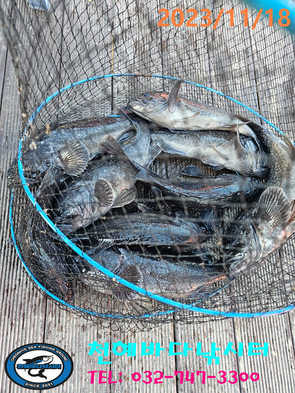 1700302039951.jpg