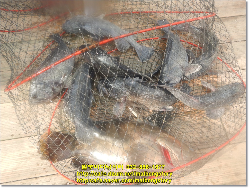 DSCN9667.JPG