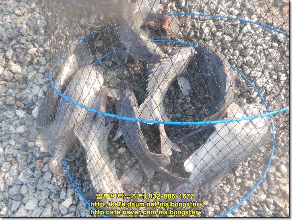 DSCN9671.JPG