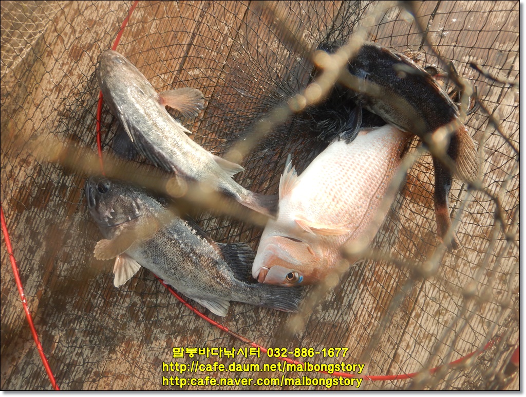 DSCN9678.JPG
