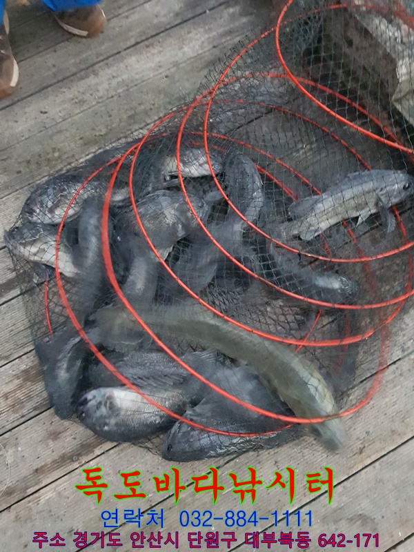 43.jpg