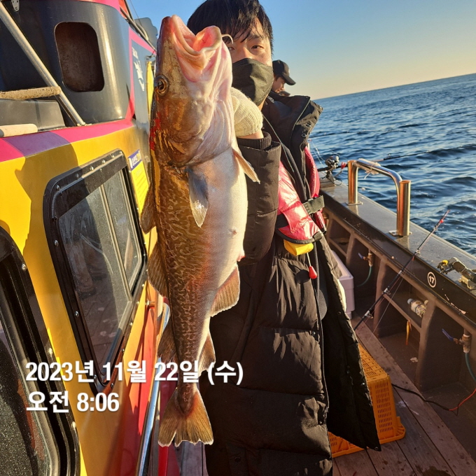 [ũ⺯ȯ]e_j99Ud018svc19hp09zo581tx_uqvqjo.jpg