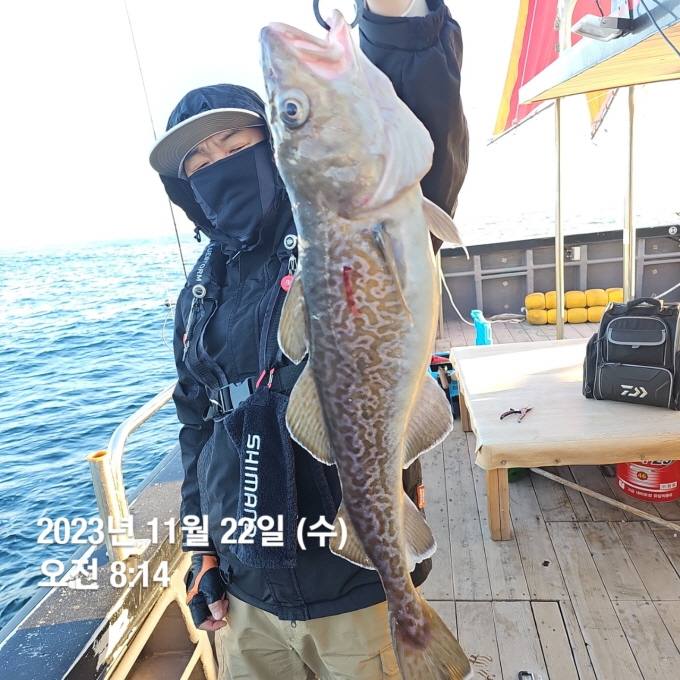 [ũ⺯ȯ]f_199Ud018svc1k2q2a524osv7_uqvqjo.jpg