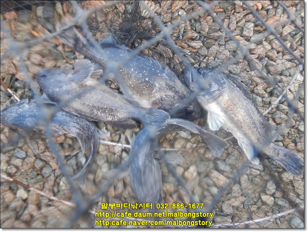 DSCN9908.JPG