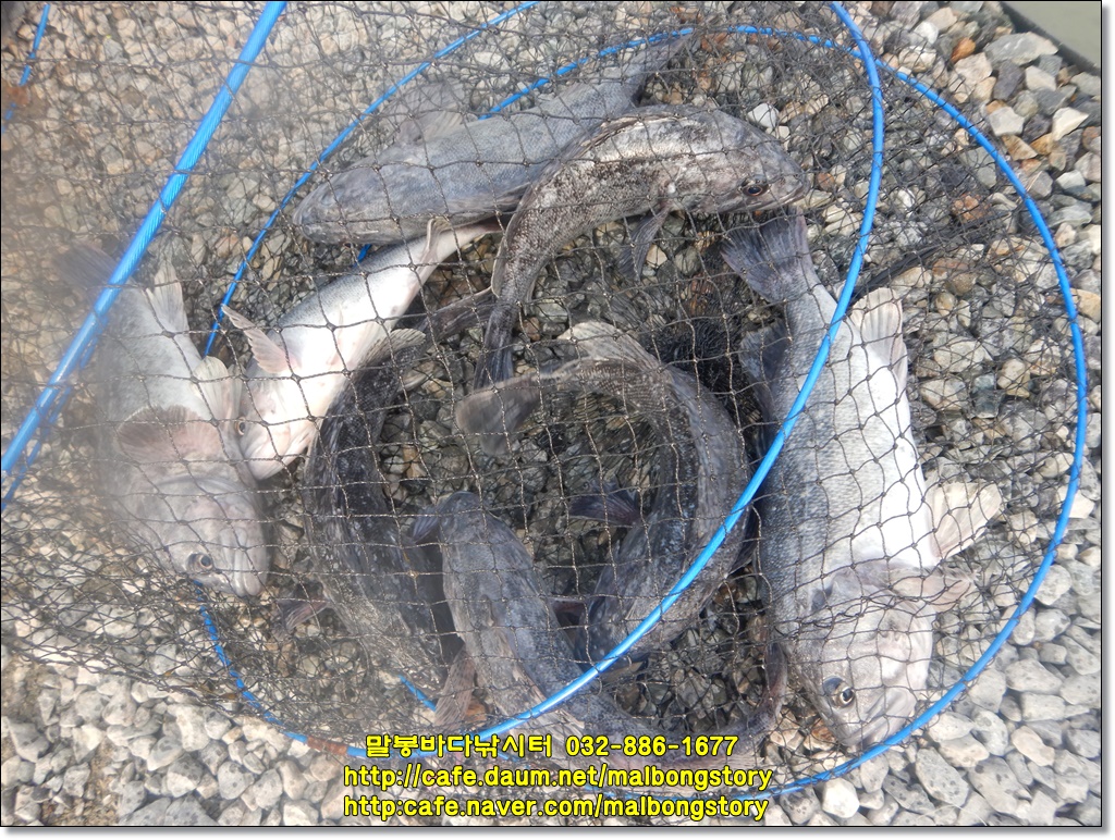 DSCN9915.JPG