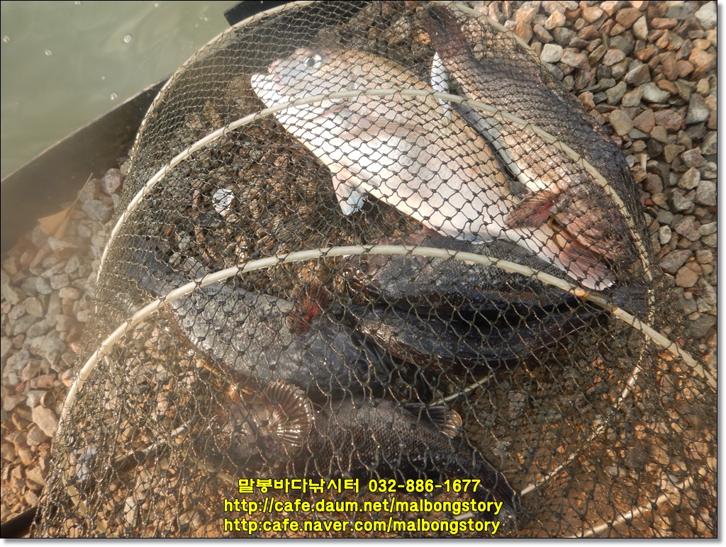 DSCN9922.JPG