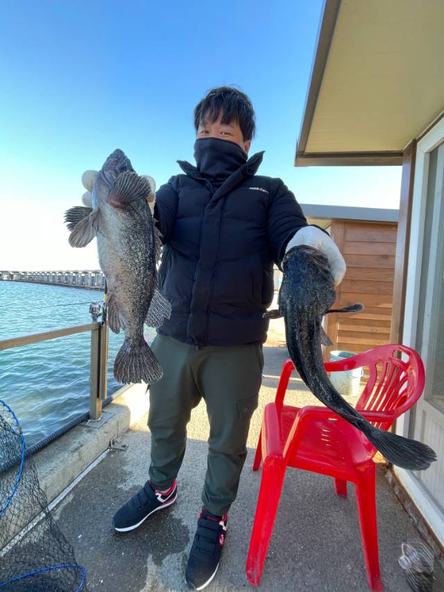 1701514114092.jpg