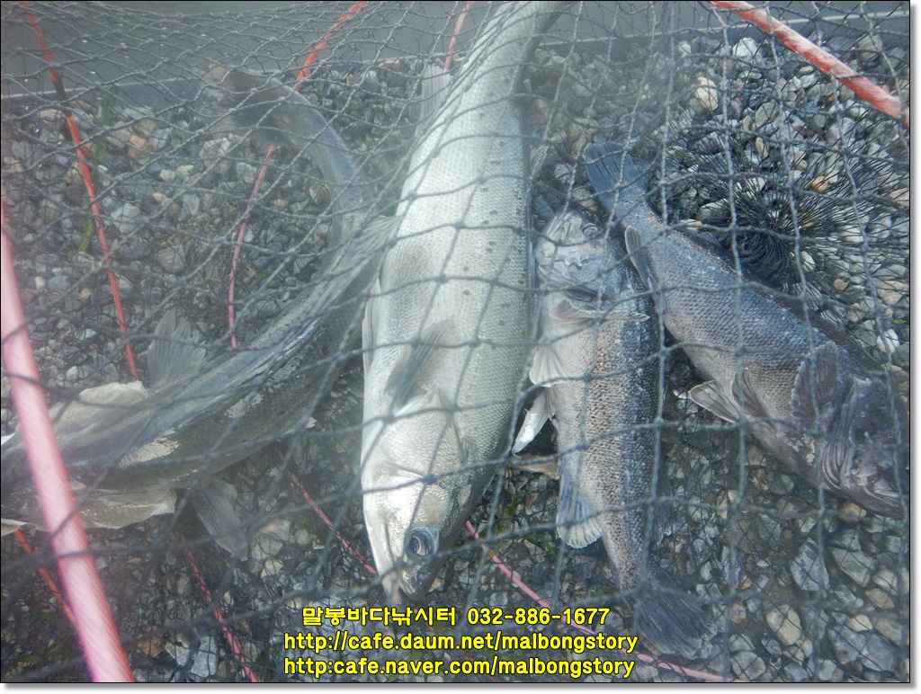 DSCN9955.JPG