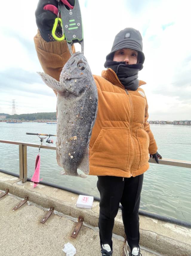 1701601352556.jpg