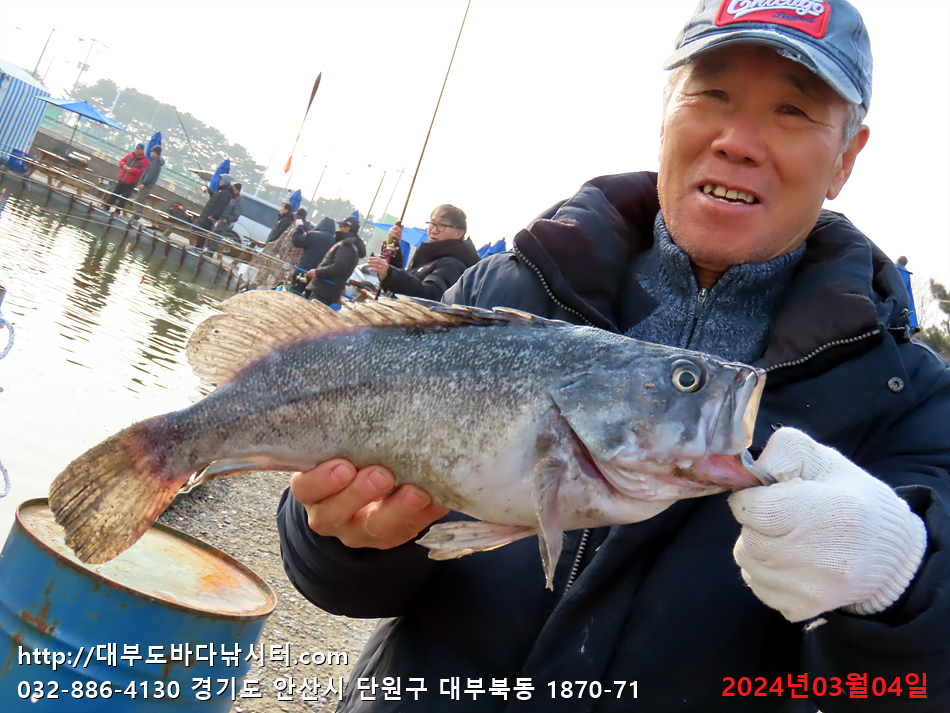 대부도바다낚시터 바다낚시조황 > 2024년 3월 4일 월요일 우럭 조황 : 낚시사랑