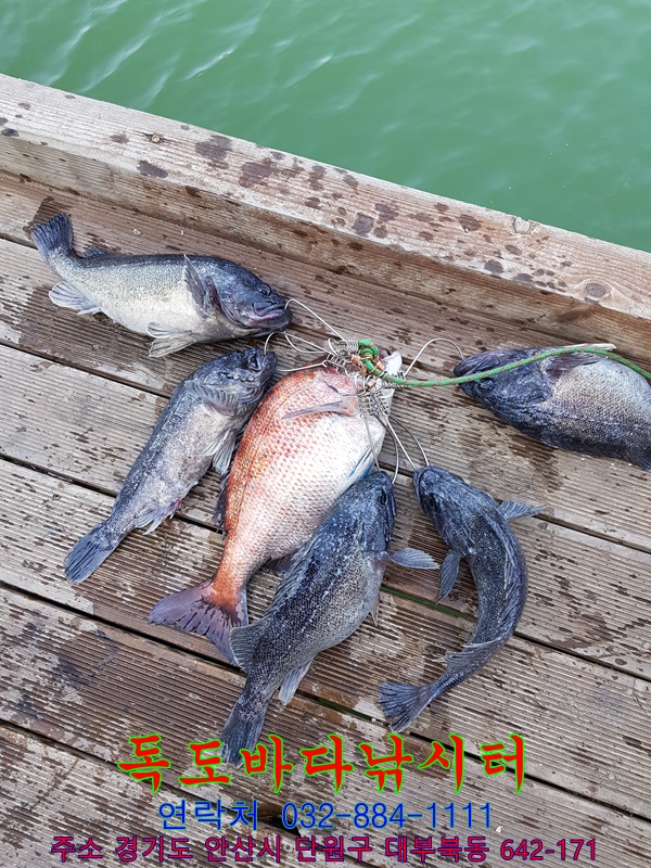 35.jpg
