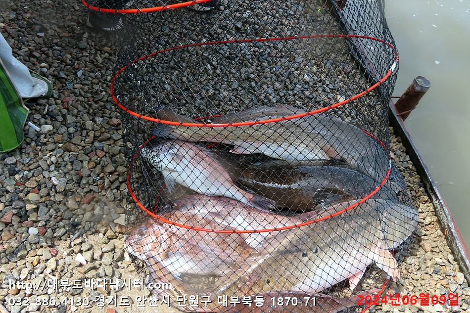 IMG_0109.jpg