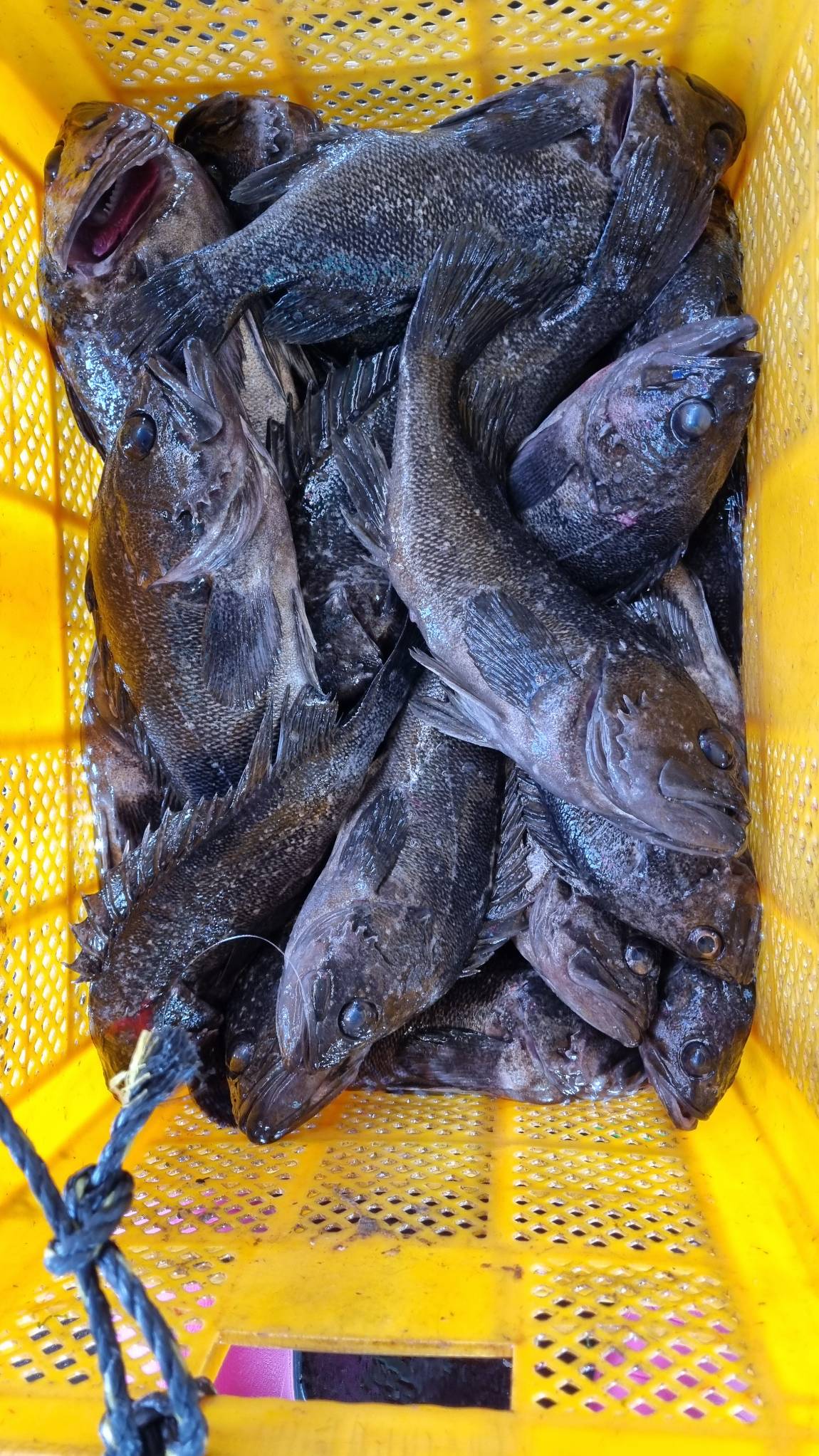1718009160746.jpg