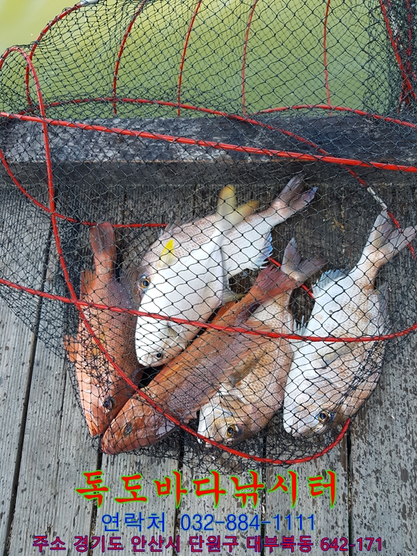 38.jpg