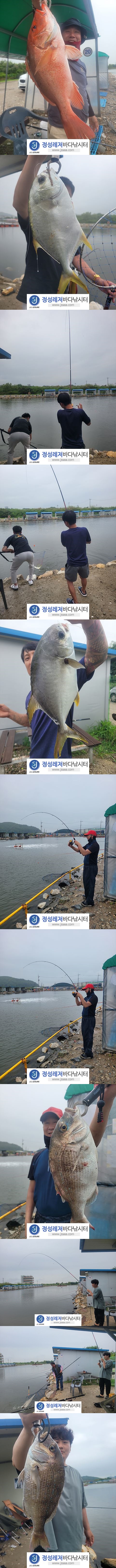5555.jpg