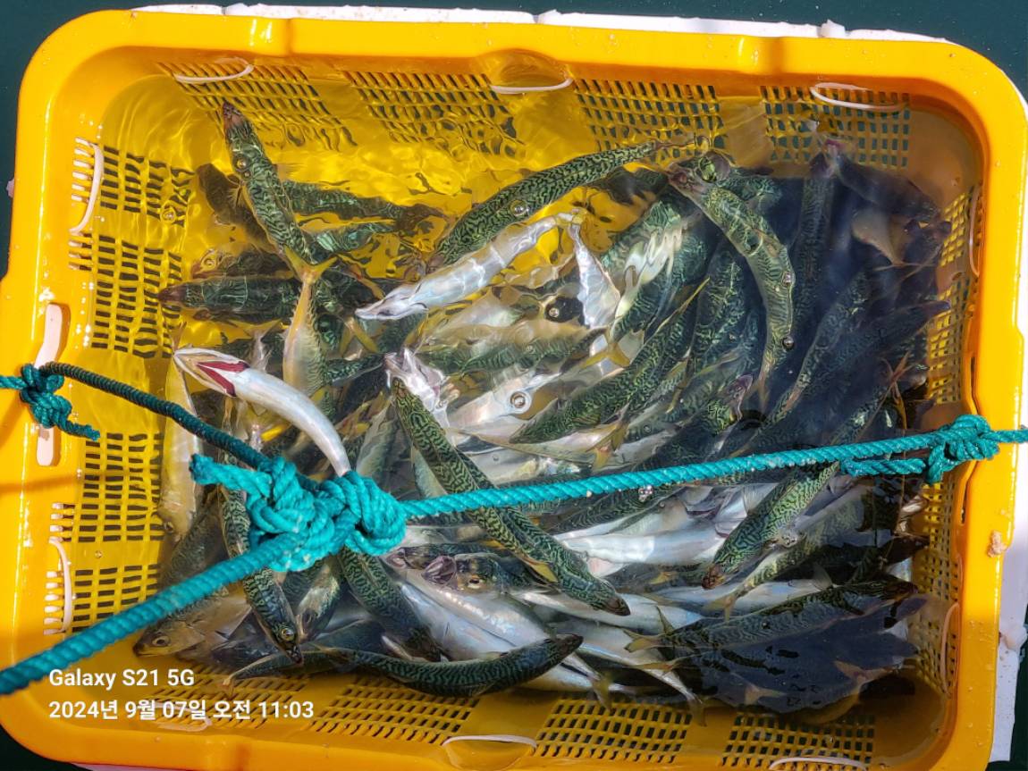 KakaoTalk_20240907_184610261_01.jpg