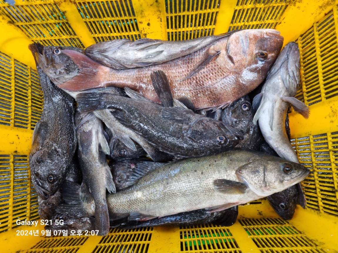 KakaoTalk_20240907_184816465_08.jpg