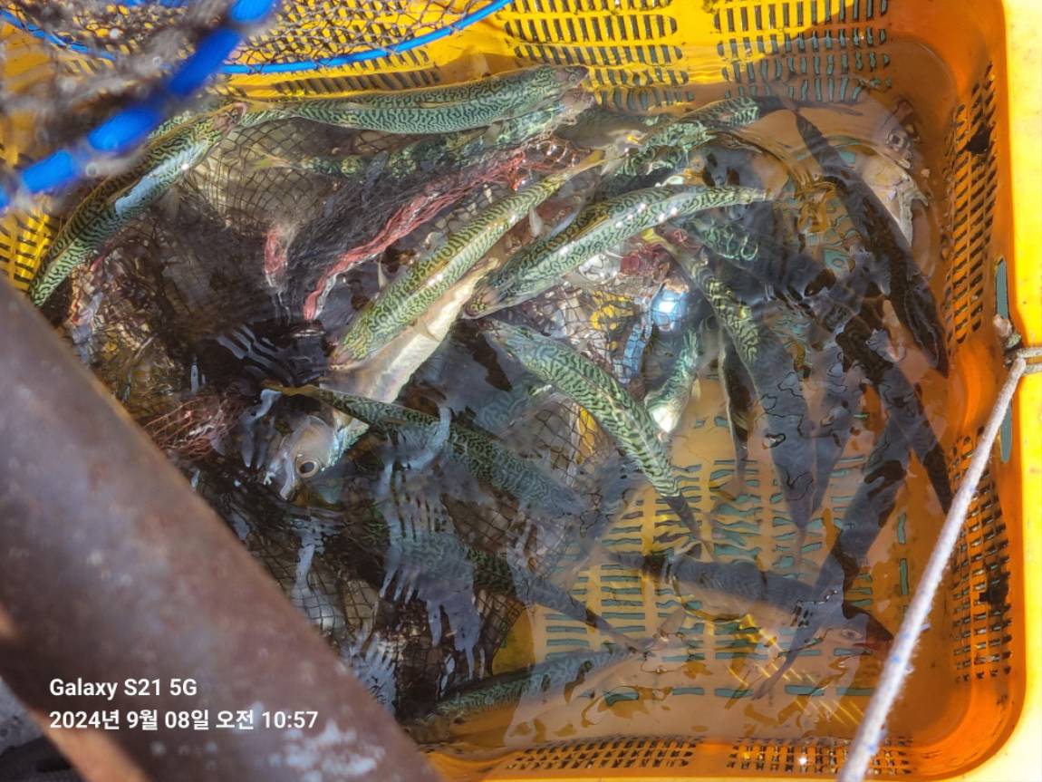 KakaoTalk_20240908_183238378_14.jpg
