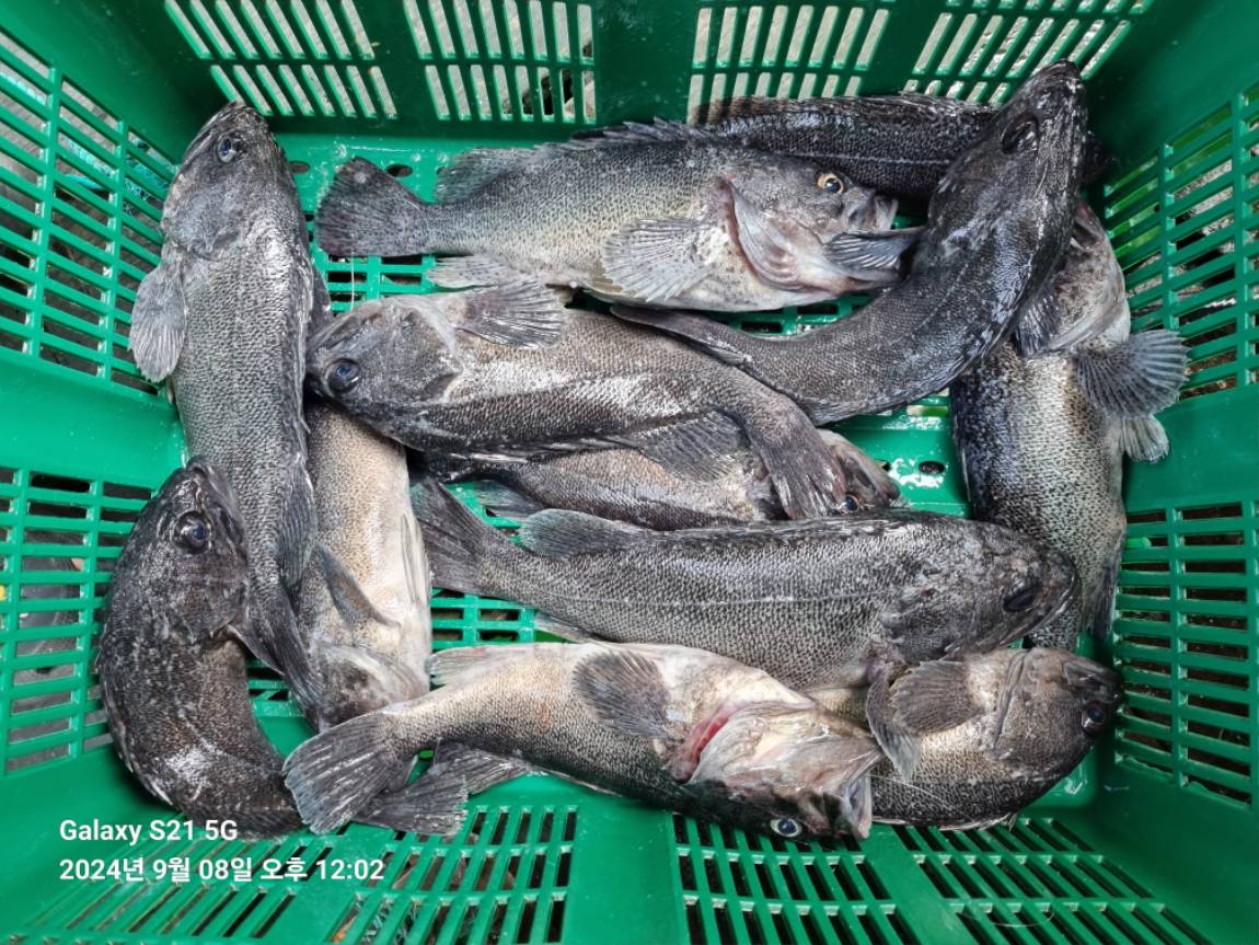 KakaoTalk_20240908_183238378_17.jpg