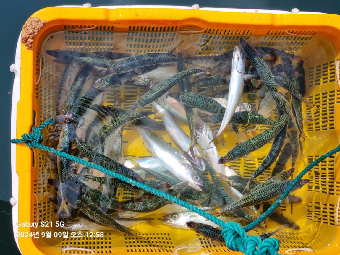 KakaoTalk_20240909_161412066_09.jpg