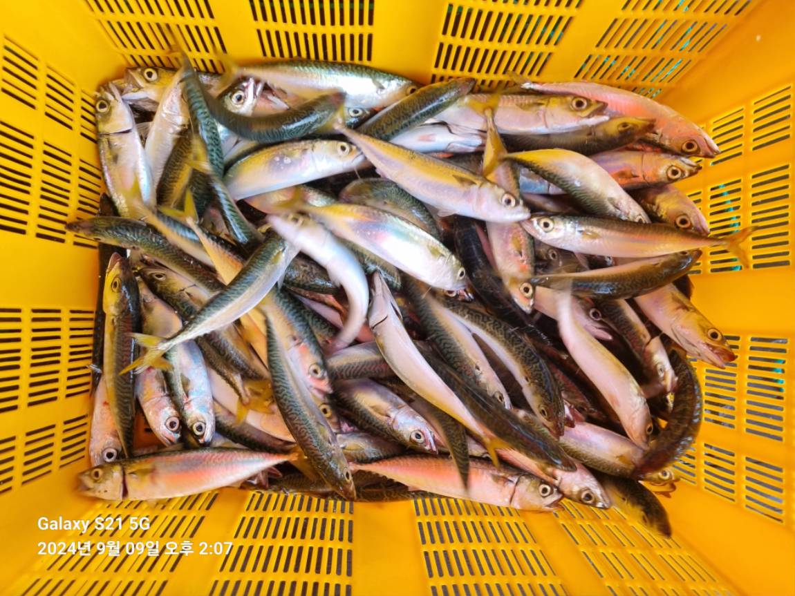 KakaoTalk_20240909_161412066_17.jpg