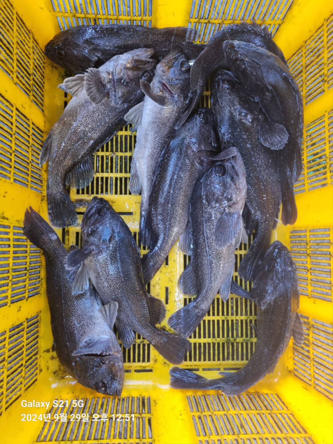 KakaoTalk_20240929_173213530_13.jpg