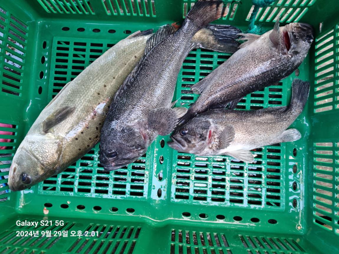 KakaoTalk_20240929_173213530_22.jpg