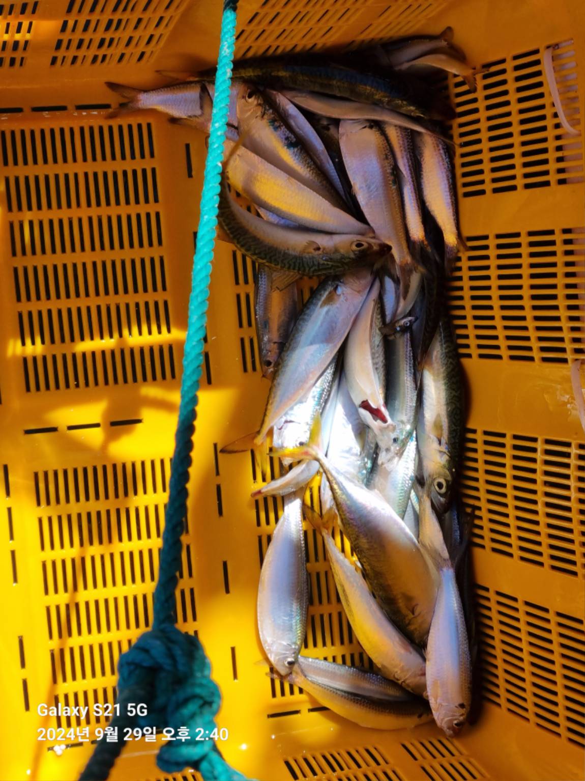 KakaoTalk_20240929_173220199.jpg