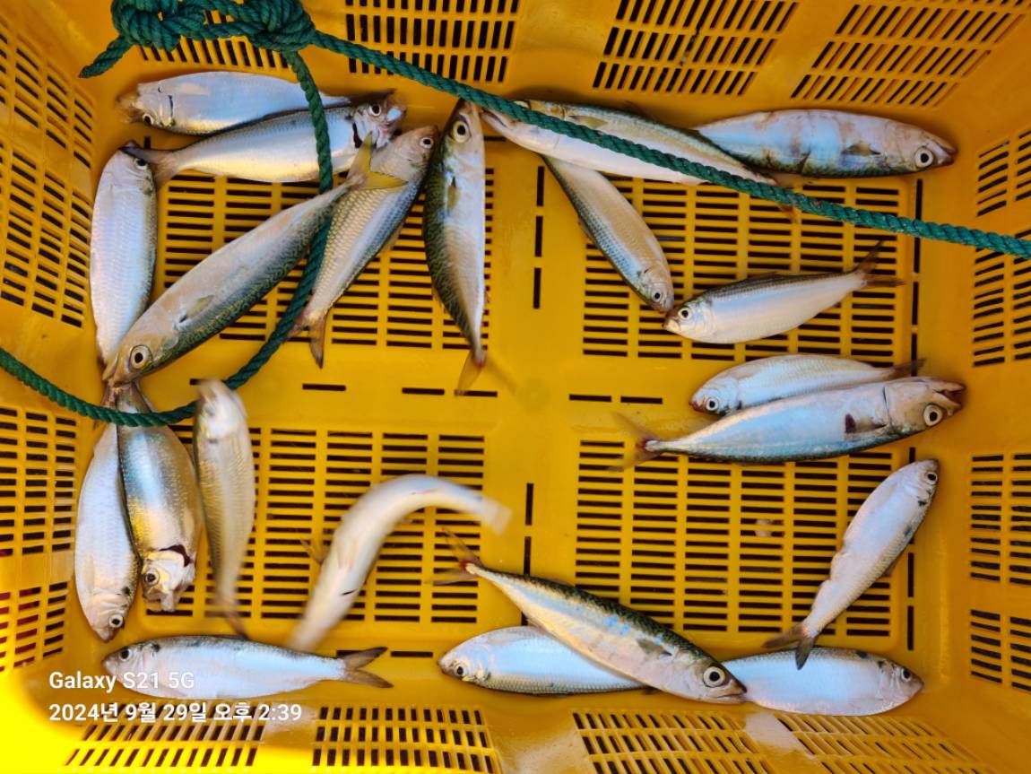 KakaoTalk_20240929_173220199_01.jpg