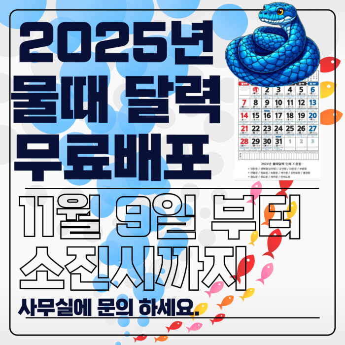 2025 ޷¹.png