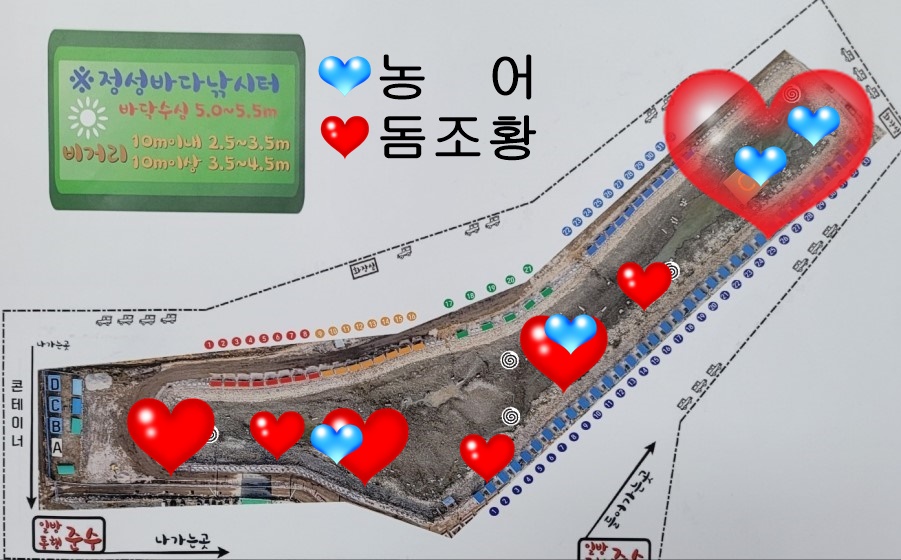 1126.jpg