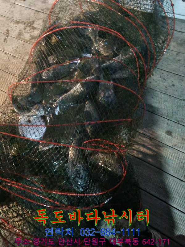 42.jpeg