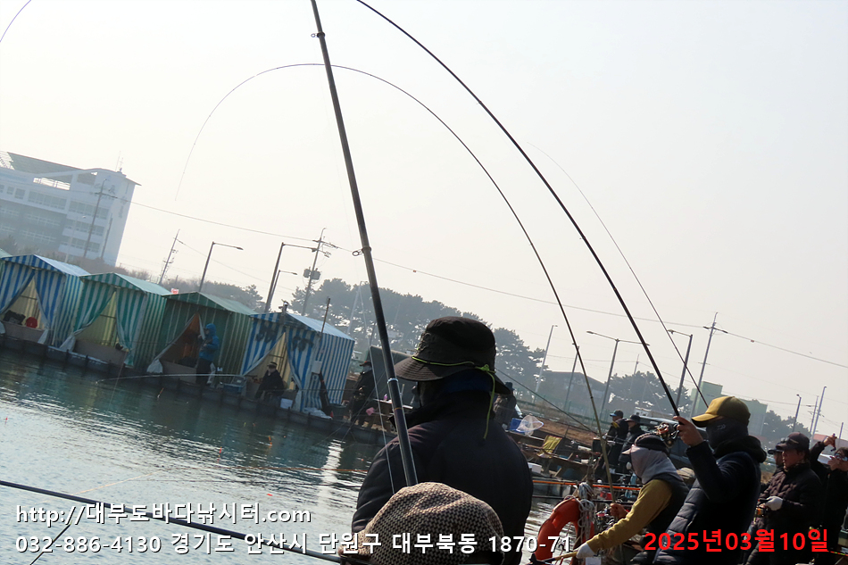 IMG_9869.jpg