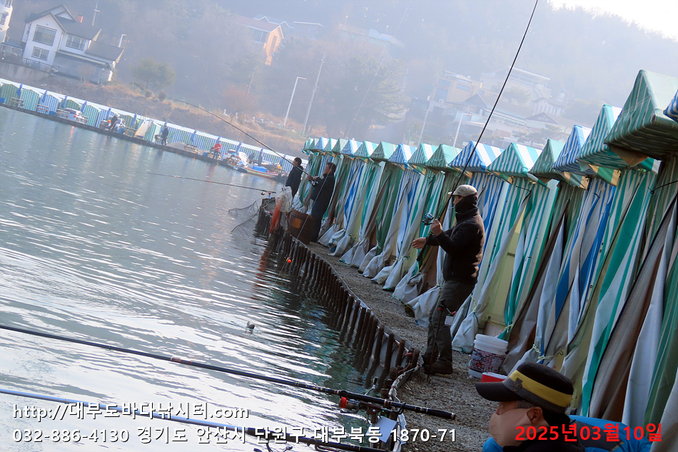 IMG_9868.jpg