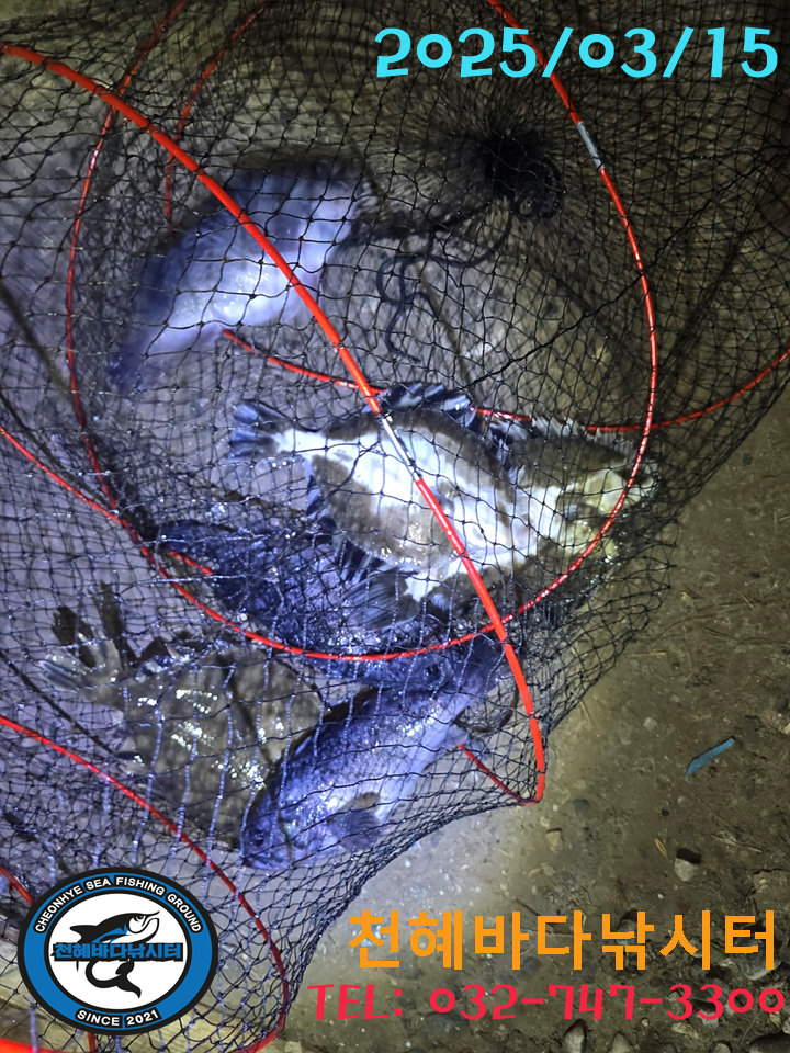 1742076190763-7.jpg