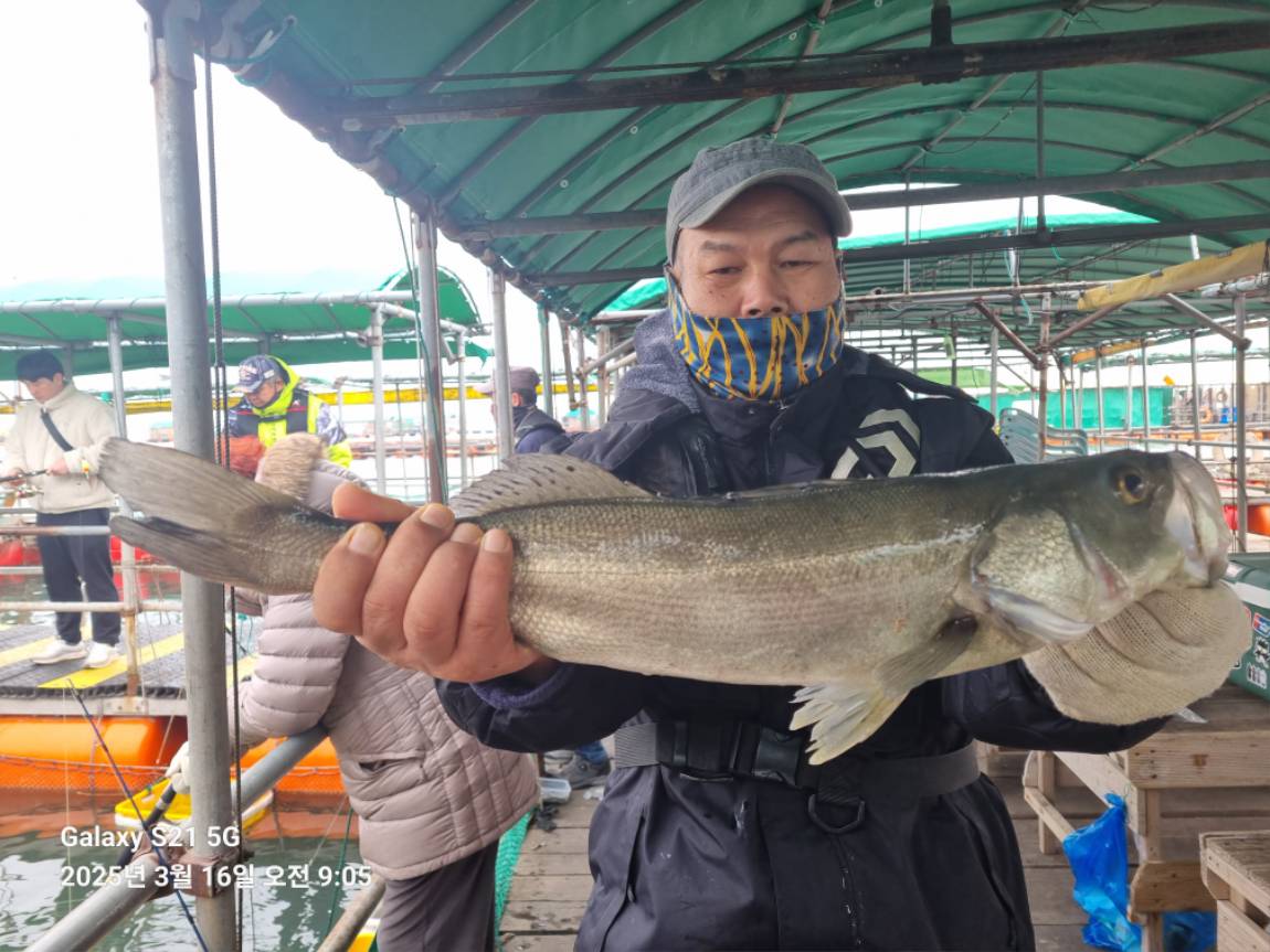 KakaoTalk_20250316_213005656_01.jpg