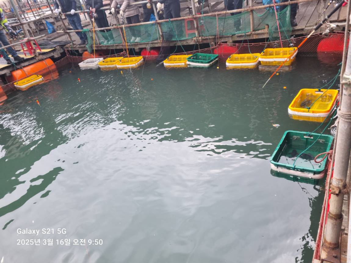 KakaoTalk_20250316_213005656_09.jpg