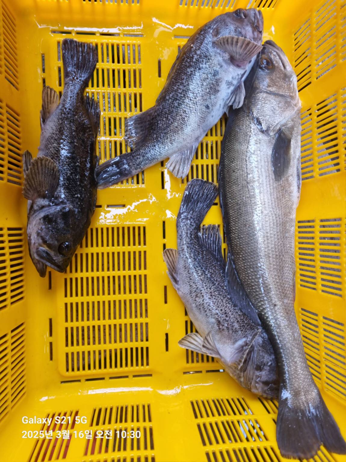 KakaoTalk_20250316_213005656_12.jpg