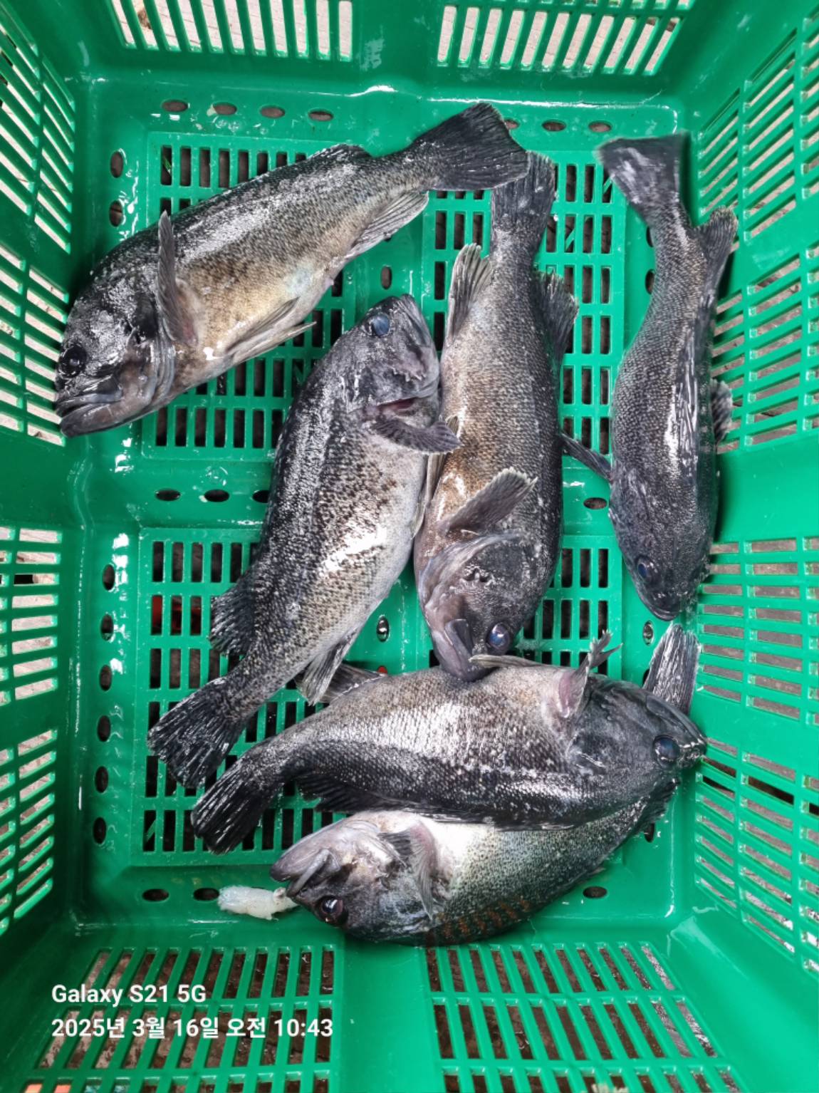 KakaoTalk_20250316_213005656_14.jpg