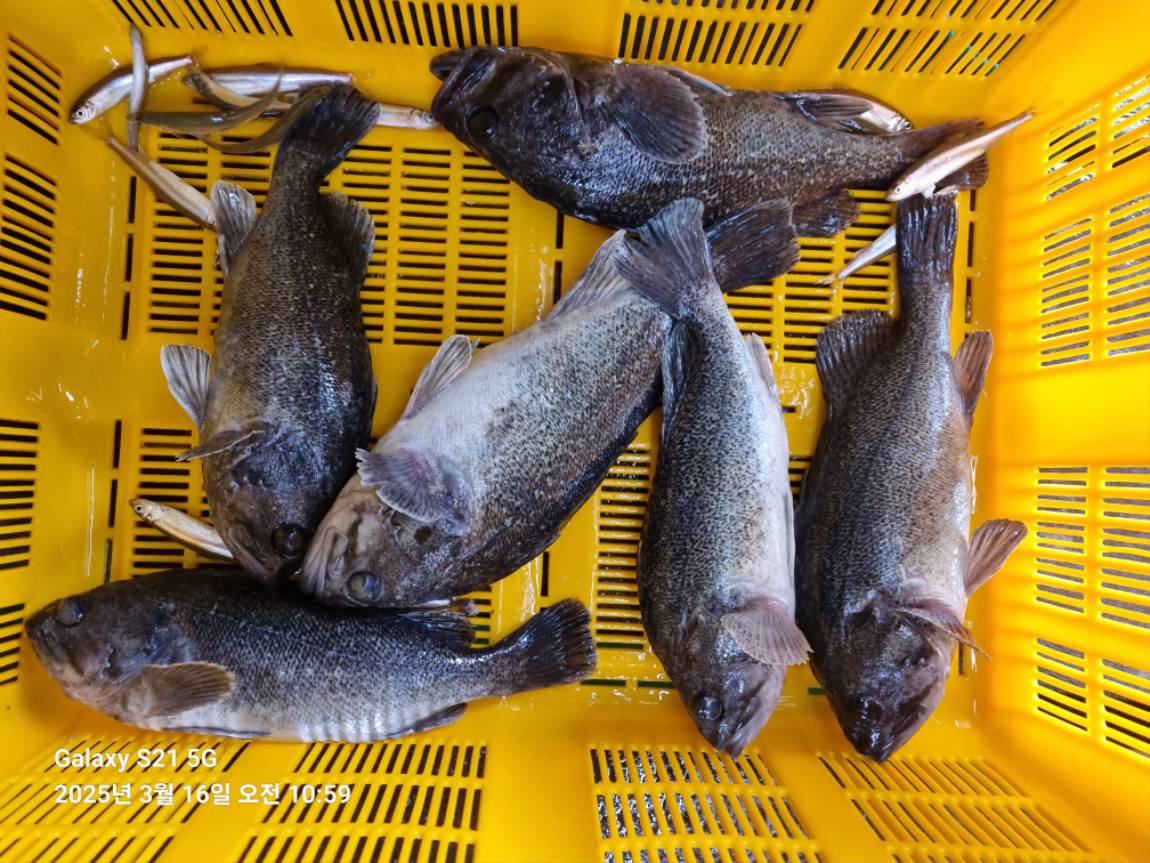 KakaoTalk_20250316_213005656_15.jpg