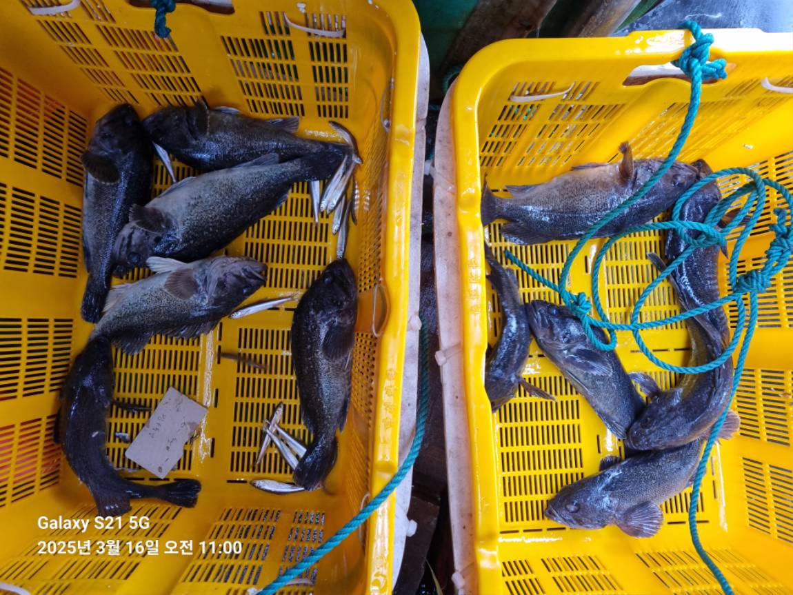 KakaoTalk_20250316_213005656_16.jpg