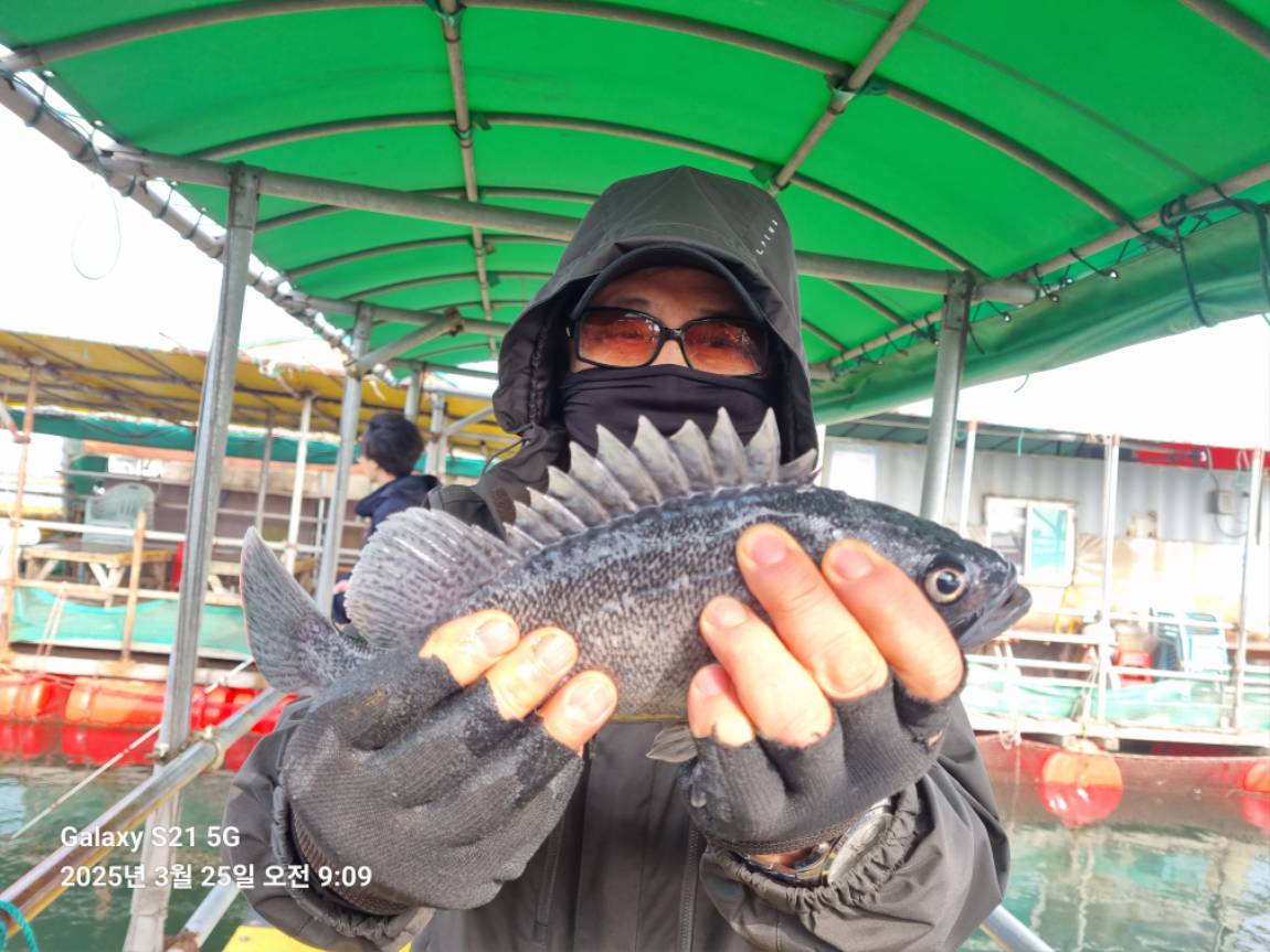 KakaoTalk_20250325_142135922_01.jpg