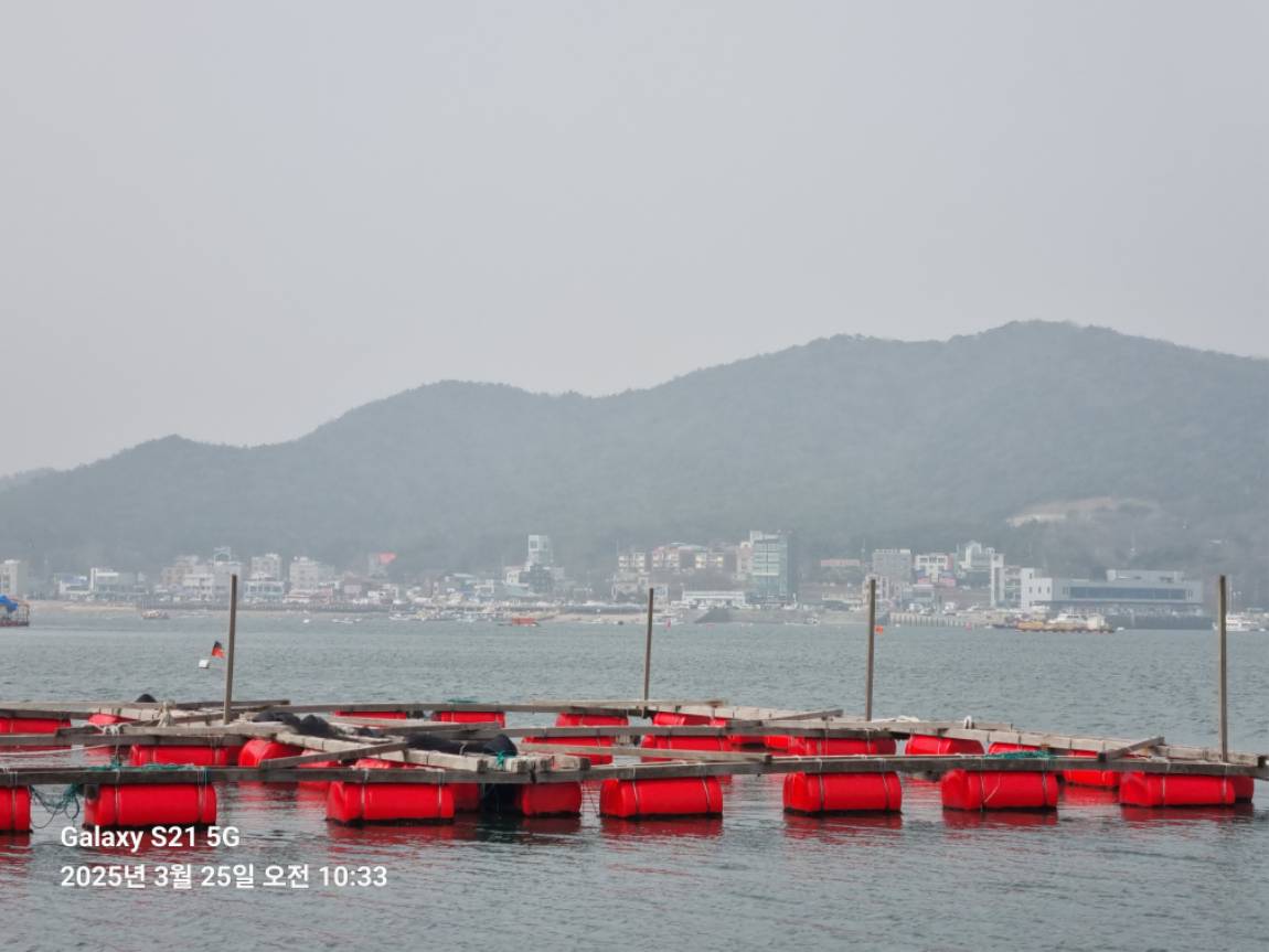 KakaoTalk_20250325_142135922_15.jpg