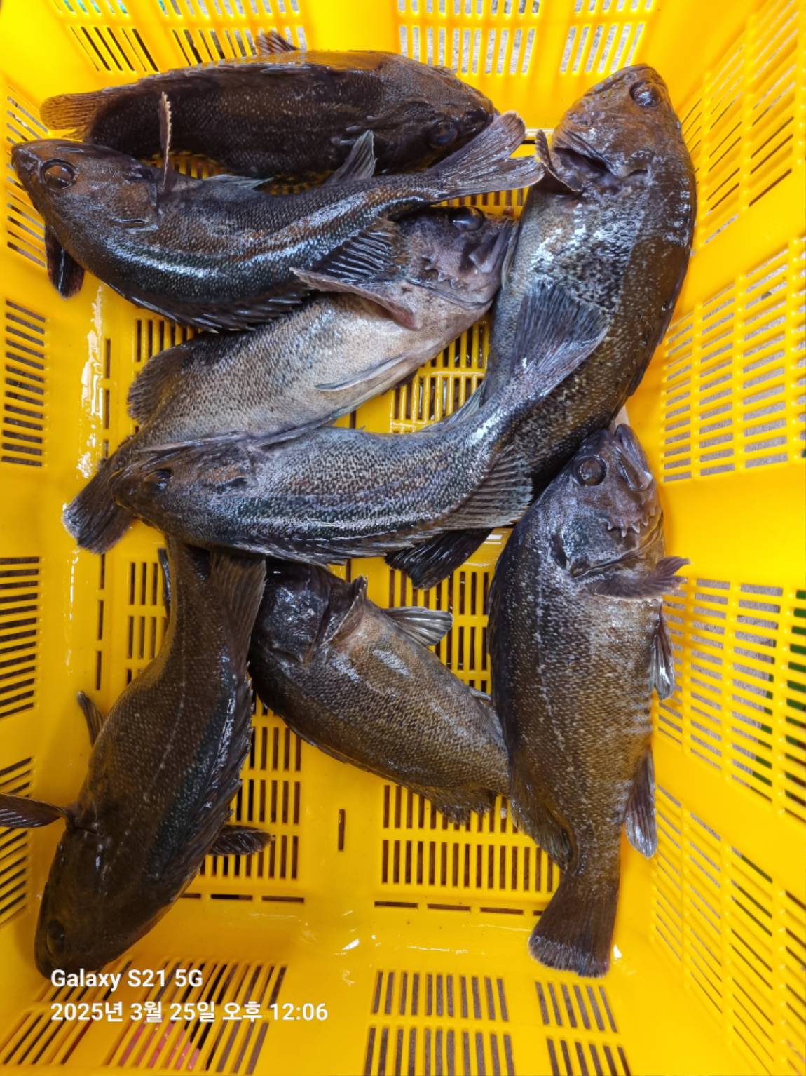 KakaoTalk_20250325_142135922_17.jpg