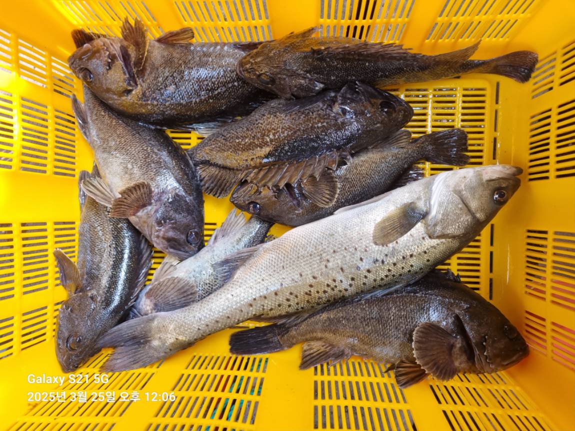 KakaoTalk_20250325_142135922_18.jpg